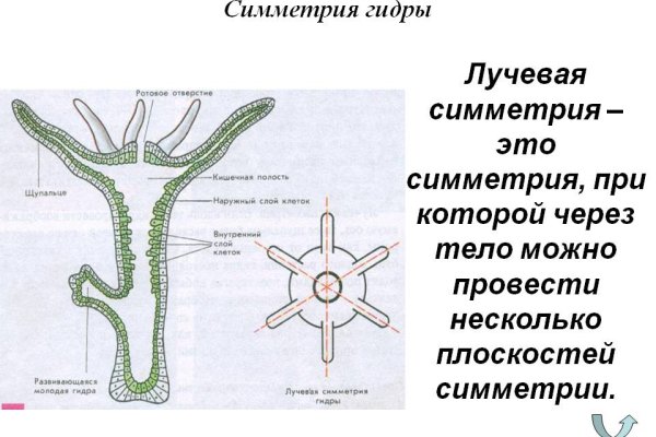 Кракен актуальное зеркало