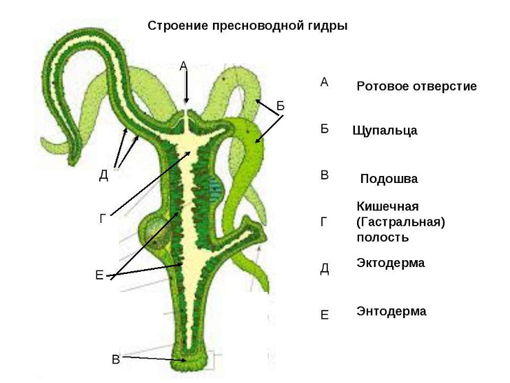 Кракен ссылка на сайт com